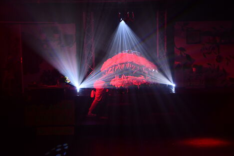 Litla hryllingsbúðin er sett upp í Garðalundi. Frá frumsýningu.