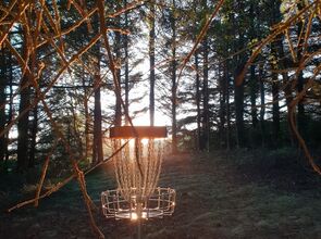 Frisbígolfvöllurinn