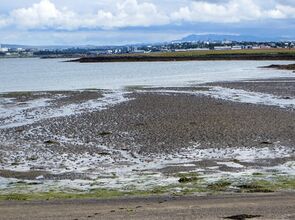 Skerjafjörður við Álftanes