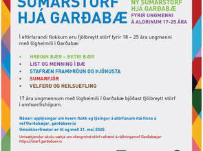 Sumarstörf 2020