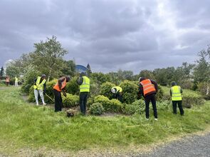 Fjölbreytt sumarstörf í boði