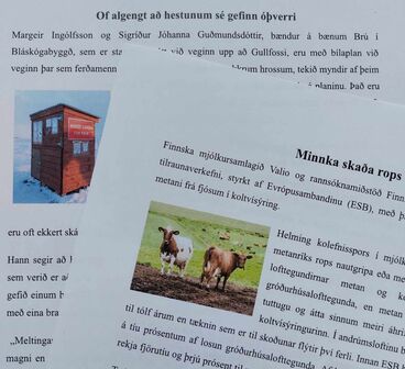 Sjálandsskóli - lesskilningur - þróunarsjóðsverkefni