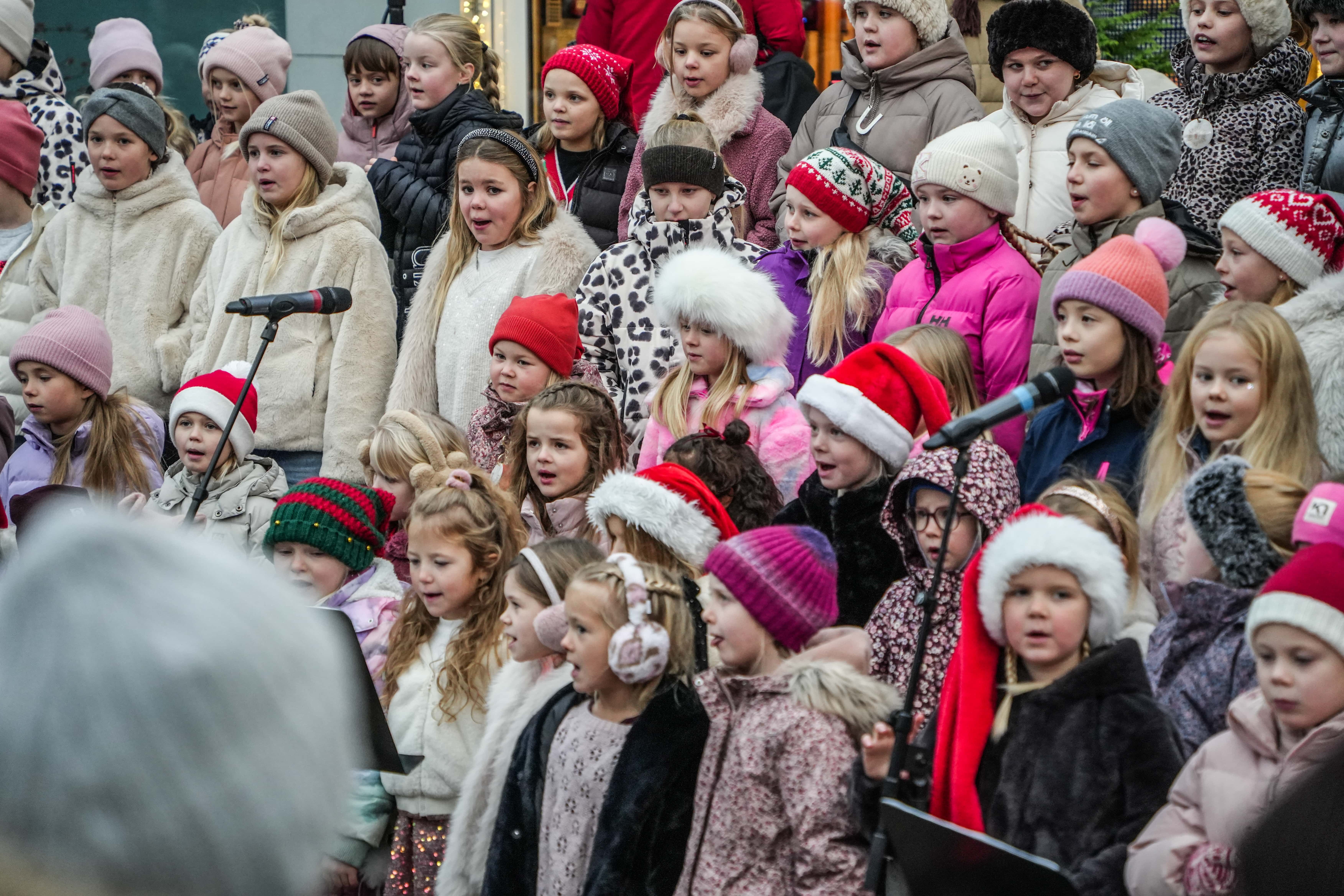 Adventuhatid-gardabaejar-2025-12-