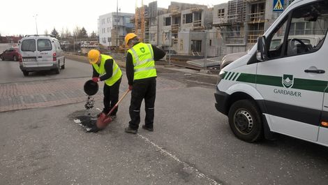 Holufyllingar_vor2016