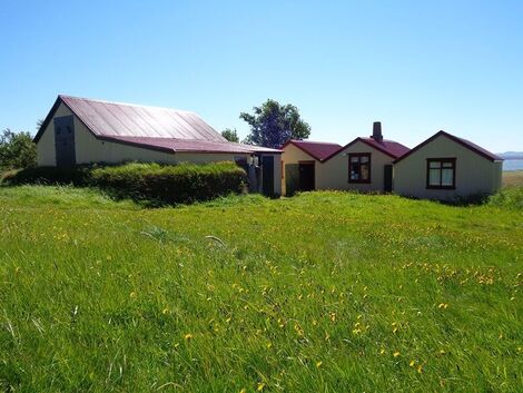 Krokur_sumarmynd1_1750686686833