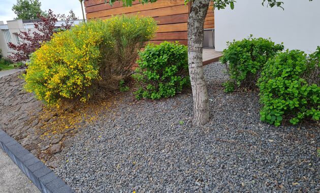 Vidilundur2_sumar2021-2-